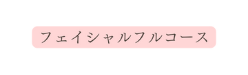 フェイシャルフルコース
